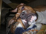 gal/Daisy/_thb_Daisy 05.jpg